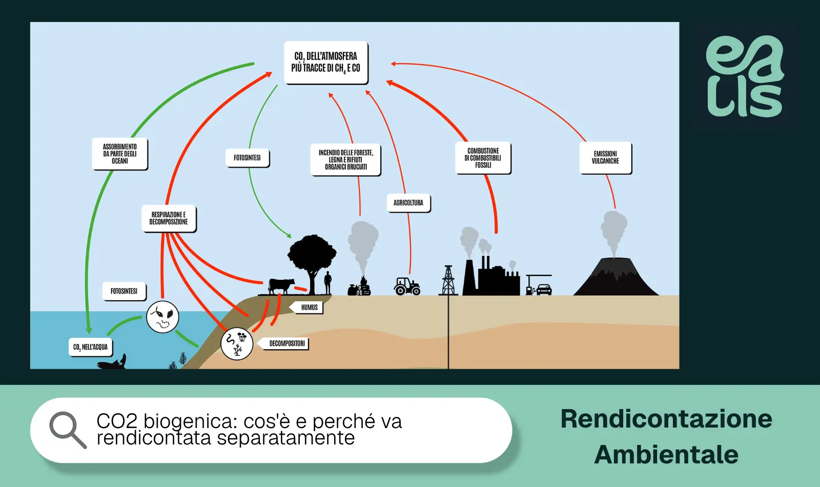 CO2 biogenica: cos’è e perché va rendicontata separatamente